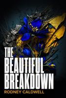 The Beautiful Breakdown: Discovering Beauty in Brokenness B0CHKY67VD Book Cover