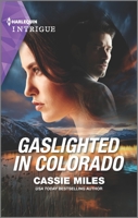 Gaslighted In Colorado / Finding The Rancher's Son: Gaslighted in Colorado / Finding the Rancher's Son 1335489541 Book Cover