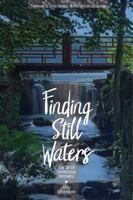 Finding Still Waters: The Art of Conscious Recovery (1st edition) 0999577700 Book Cover