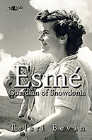 Esme - Guardian of Snowdonia 1847719554 Book Cover