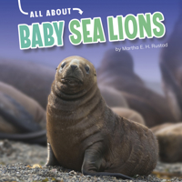 All about Baby Sea Lions 1663908036 Book Cover