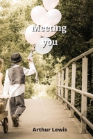 Meeting you 8219215887 Book Cover