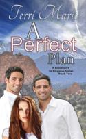 A Perfect Plan 148107296X Book Cover