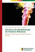 Tecnicas de Estabilizacao de Chamas Difusivas 3639697014 Book Cover