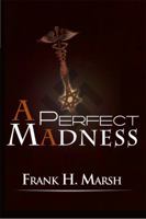 A Perfect Madness 0983826439 Book Cover