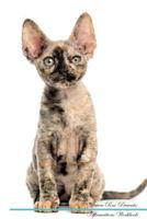Devon Rex Affirmations Workbook Devon Rex Presents: Positive and Loving Affirmations Workbook. Includes: Mentoring Questions, Guidance, Supporting You 1526969416 Book Cover