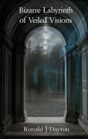 Bizarre Labyrinth of Veiled Visions 0244207135 Book Cover