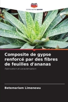 Composite de gypse renforcé par des fibres de feuilles d'ananas (French Edition) 6207789059 Book Cover