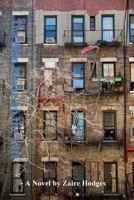 The Blue House on the Left 0989265676 Book Cover