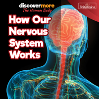 How Our Nervous System Works 1641904461 Book Cover
