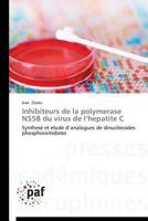 Inhibiteurs de La Polymerase Ns5b Du Virus de L Hepatite C 3838189132 Book Cover