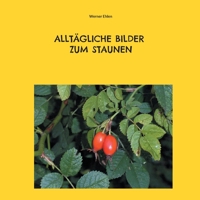 Alltägliche Bilder zum Staunen 3754327399 Book Cover