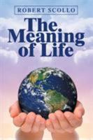 The Meaning of Life 164550350X Book Cover