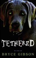 Tethered: County Line Horror #4 1095144057 Book Cover