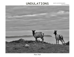 Undulations: poems and photographs from Point Reyes 9819433746 Book Cover
