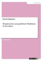 Wunderschon Und Gefahrlich. Wildbache in Den Alpen 3668337233 Book Cover