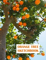 Orange Tree Sketchbook: Notebook, Journal, 8,5 x 11, 120 pages for Writing, Drawing and Sketching (Sketchbook for you) 1675593116 Book Cover