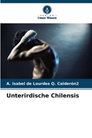 Unterirdische Chilensis (German Edition) 6206426793 Book Cover