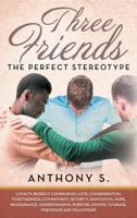 Three Friends...The Perfect Stereotype 1633386333 Book Cover