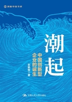 The Rise: The Birth of China's Innovative Enterprises/??:?????????? (Chinese Edition) 7300319572 Book Cover