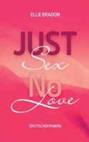 Just Sex - No Love 2: (K)ein Liebesroman 3734763533 Book Cover