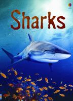 Sharks 0545033071 Book Cover