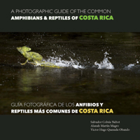 A Photographic Guide of the Common Amphibians  Reptiles of Costa Rica/ Guía fotográfica de los anfibios y reptiles más comunes de Costa Rica 8494268988 Book Cover