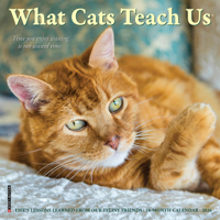 What Cats Teach Us 2026 Mini Wall Calendar 1549253824 Book Cover