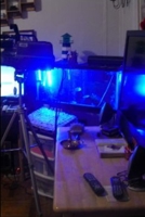 Mount Vernon, New York Collective of Books by: Nelson Norman Featured Chapters Like 1329053958 Book Cover