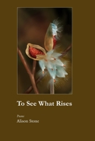 To See What Rises 1625494254 Book Cover