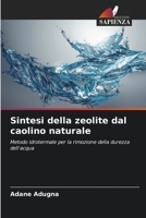 Sintesi della zeolite dal caolino naturale 620525610X Book Cover