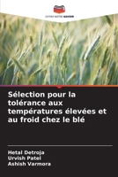 Sélection pour la tolérance aux températures élevées et au froid chez le blé (French Edition) 6208616301 Book Cover