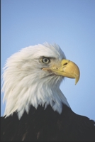 Was That a Bald Eagle and Later Poems B084DGDYWK Book Cover
