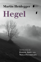 Hegel's Concept of Experience: With a Section from Hegel's Phenomenology of Spirit in the Kenley Royce Dove Translation 0060638745 Book Cover