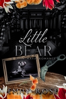 Little Bear 1778023681 Book Cover