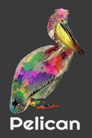 Print Bird Splash Art Pelican Notebook/Journal 6 x 9 120 Pages Gift for Who Loves Pelicans: Pelican Notebooks For Pelicans Lovers Gifts 1676482482 Book Cover