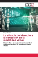 La eficacia del derecho a la educación en la modalidad virtual 6202109785 Book Cover