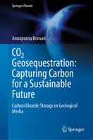 CO2 Geosequestration: Capturing Carbon for a Sustainable Future: Carbon Dioxide Storage in Geological Media 3031810201 Book Cover