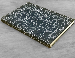 Emilia Azc�rate: The Genealogy of Colour 8417141243 Book Cover