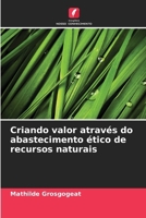 Criando valor através do abastecimento ético de recursos naturais (Portuguese Edition) 6200719004 Book Cover