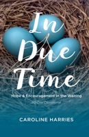 In Due Time: Hope and Encouragement in the Waiting 0692772693 Book Cover