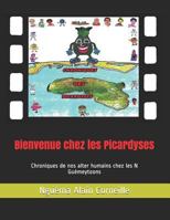 Bienvenue chez les Picardyses: Chroniques de nos alter humains chez les N Guémeytoons (Collection Des N Guémeytoons) 1797802771 Book Cover