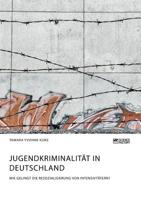 Jugendkriminalit�t in Deutschland. Wie gelingt die Resozialisierung von Intensivt�tern? 3956877942 Book Cover