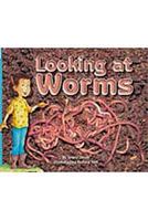 Looking at Worms 1418905437 Book Cover