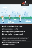 Pericolo silenzioso: Le minacce nascoste nell'approvvigionamento idrico delle megalopoli 6209105505 Book Cover