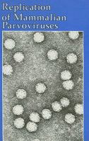 Replication of Mammalian Parvoviruses 0879691204 Book Cover