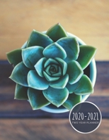 2020-2021 Two Year Planner: Succulent Planner January 1, 2020 to December 31, 2021 Weekly & Monthly Planner + Calendar Views Plant 2 Year Calendar 24 Month Agenda Planner Gift For Succulent Lovers & G 1677434279 Book Cover