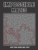 Impossible Mazes: Extremely Hard Puzzles That Will Make You Want To Cheat B0C1JDKS7Y Book Cover