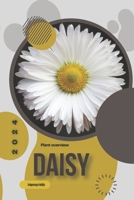 Daisy: Simply beginners guide B0CVRKY22W Book Cover