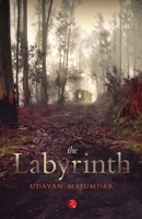 The Labyrinth 8129124165 Book Cover